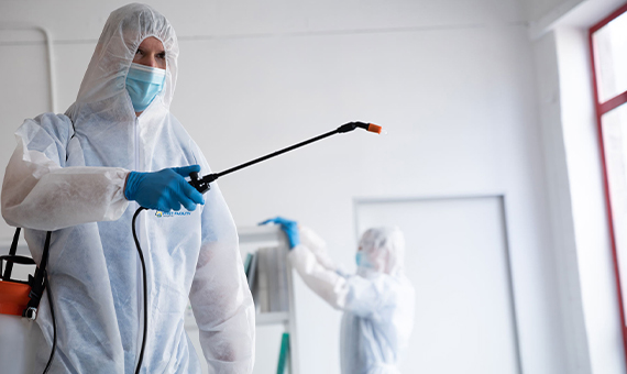 Facility management | Property management | Romania | Pest Control Services